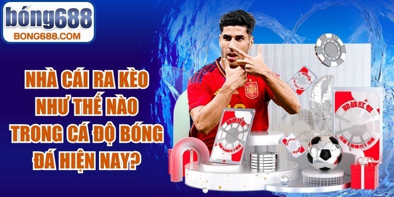 Nhà Cái Ra Kèo Như Thế Nào