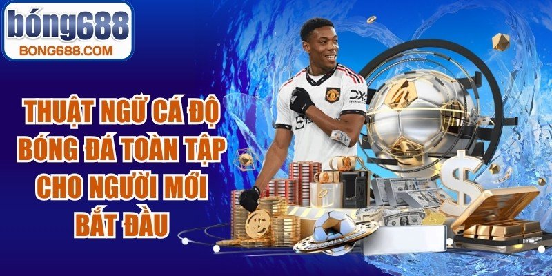 thuật ngữ cá độ bóng đá